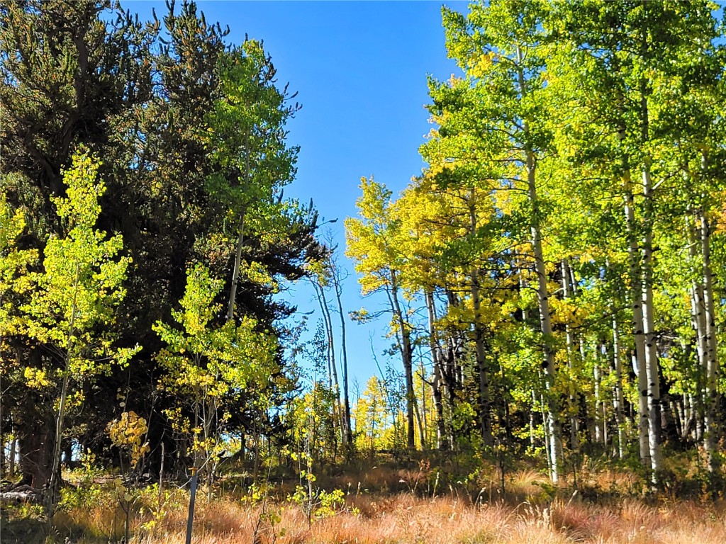 1555 Bluestem Way Property Photo 6