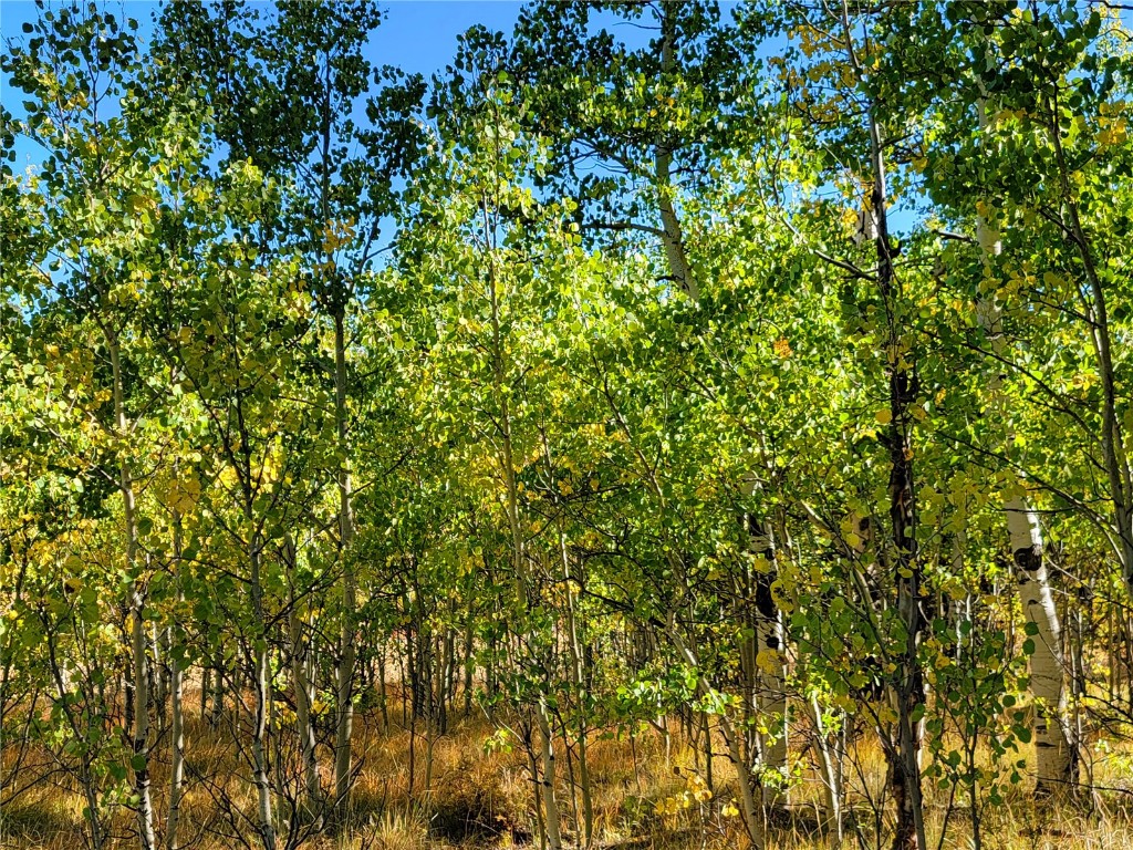 1555 Bluestem Way Property Photo 8