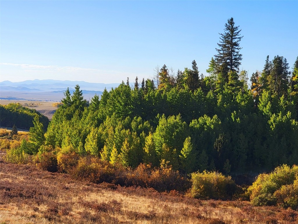 1555 Bluestem Way Property Photo 10