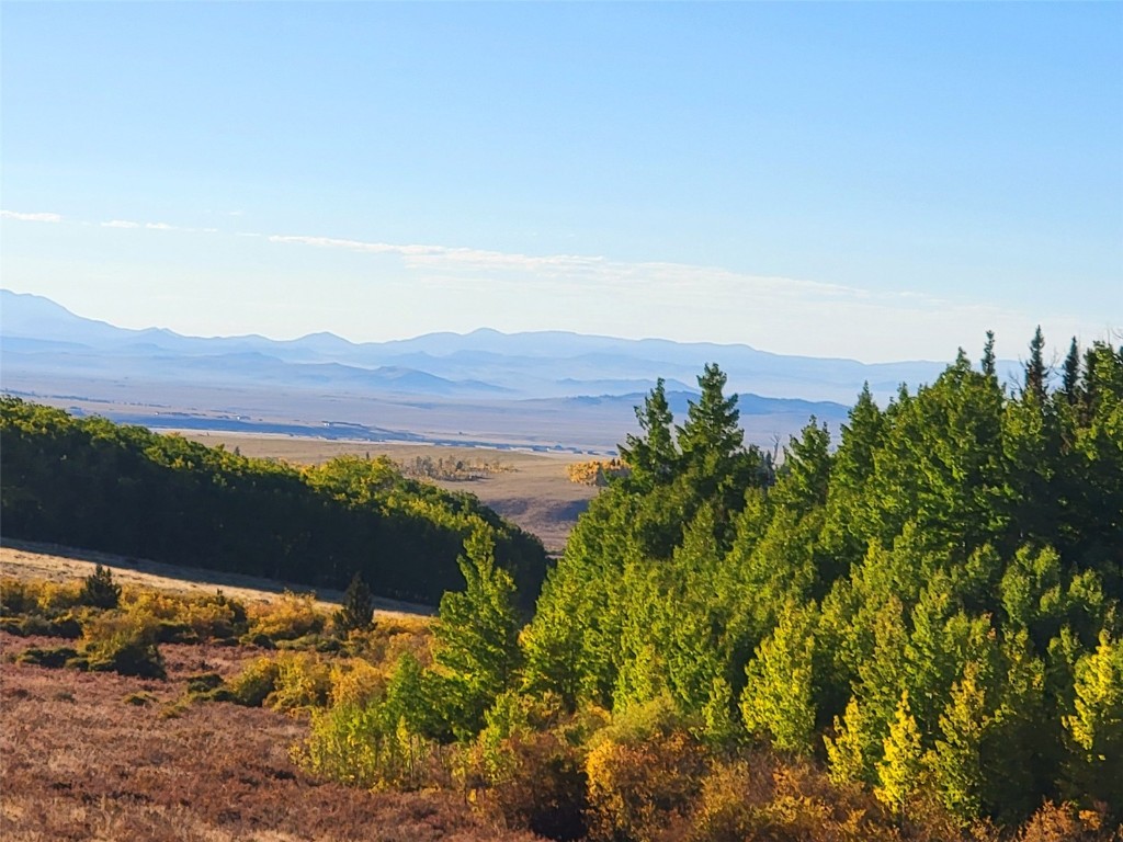 1555 Bluestem Way Property Photo 11