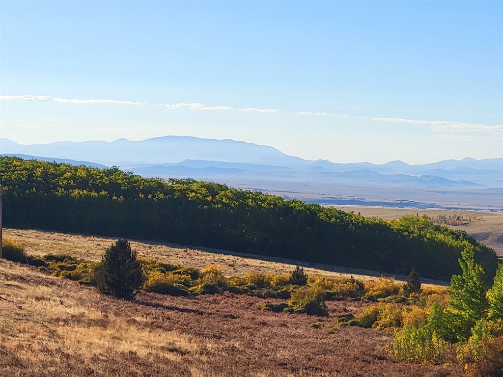1555 Bluestem Way Property Photo 12