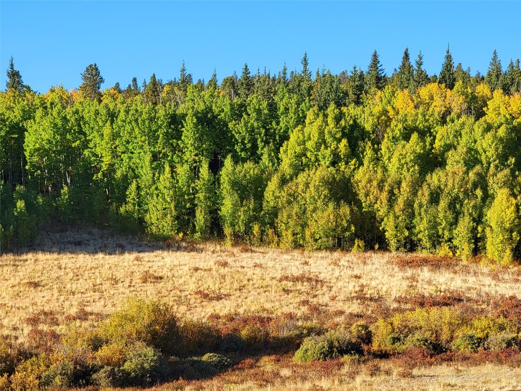 1555 Bluestem Way Property Photo 13