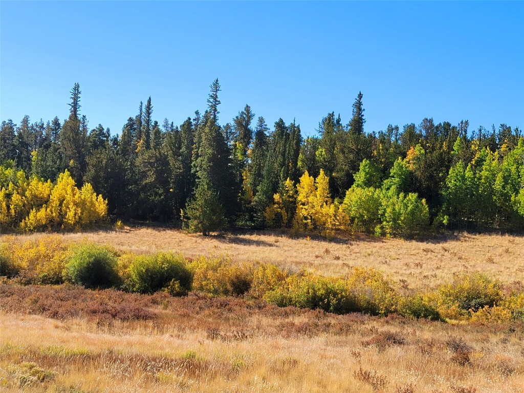1555 Bluestem Way Property Photo 14