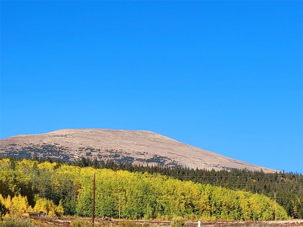 1555 Bluestem Way Property Photo 15