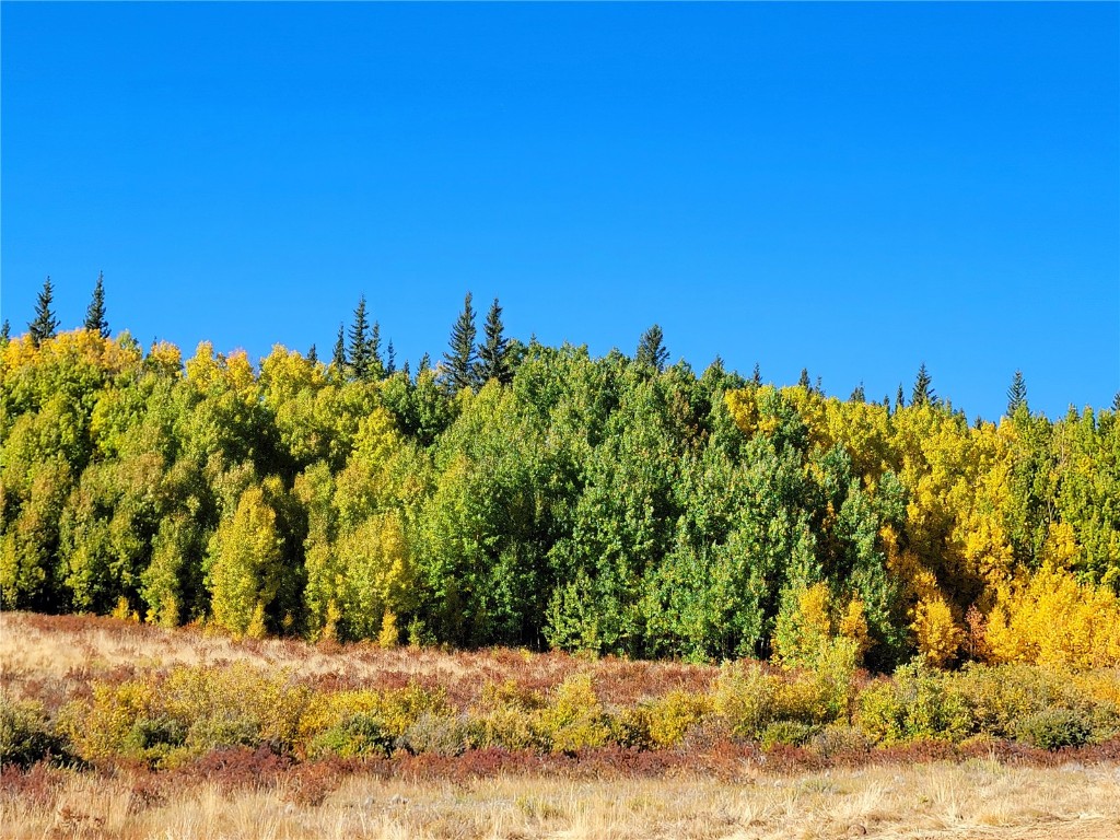1555 Bluestem Way Property Photo 16