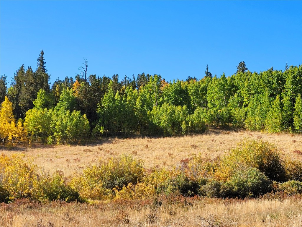 1555 Bluestem Way Property Photo 17