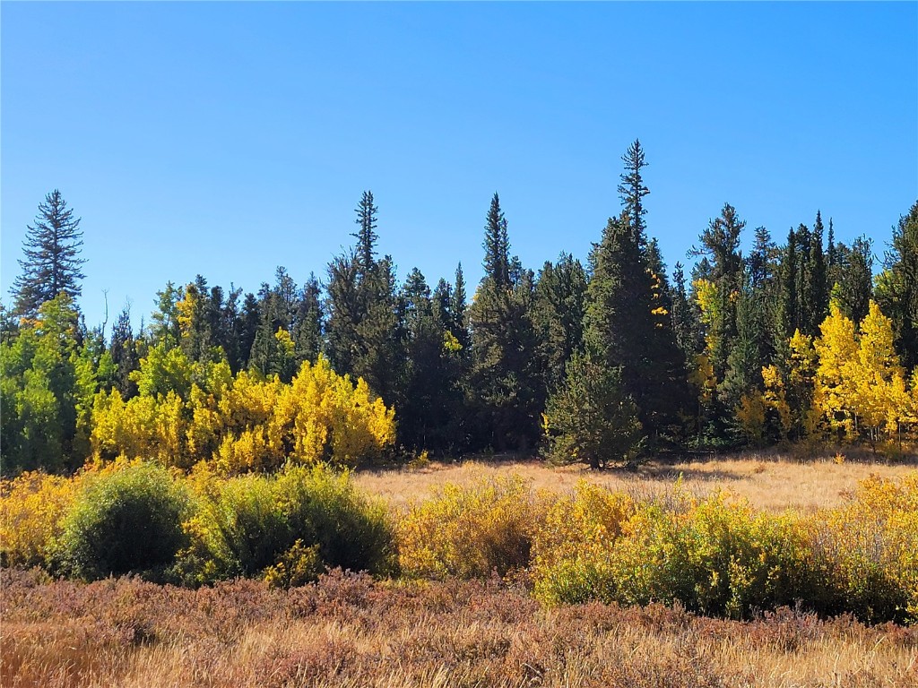 1555 Bluestem Way Property Photo 18