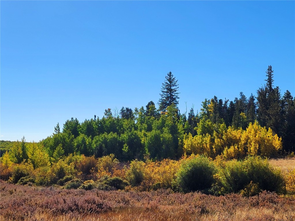 1555 Bluestem Way Property Photo 19