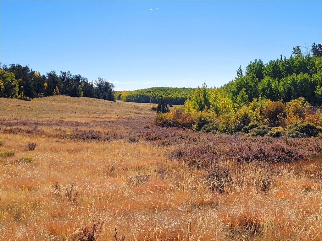 1555 Bluestem Way Property Photo 20