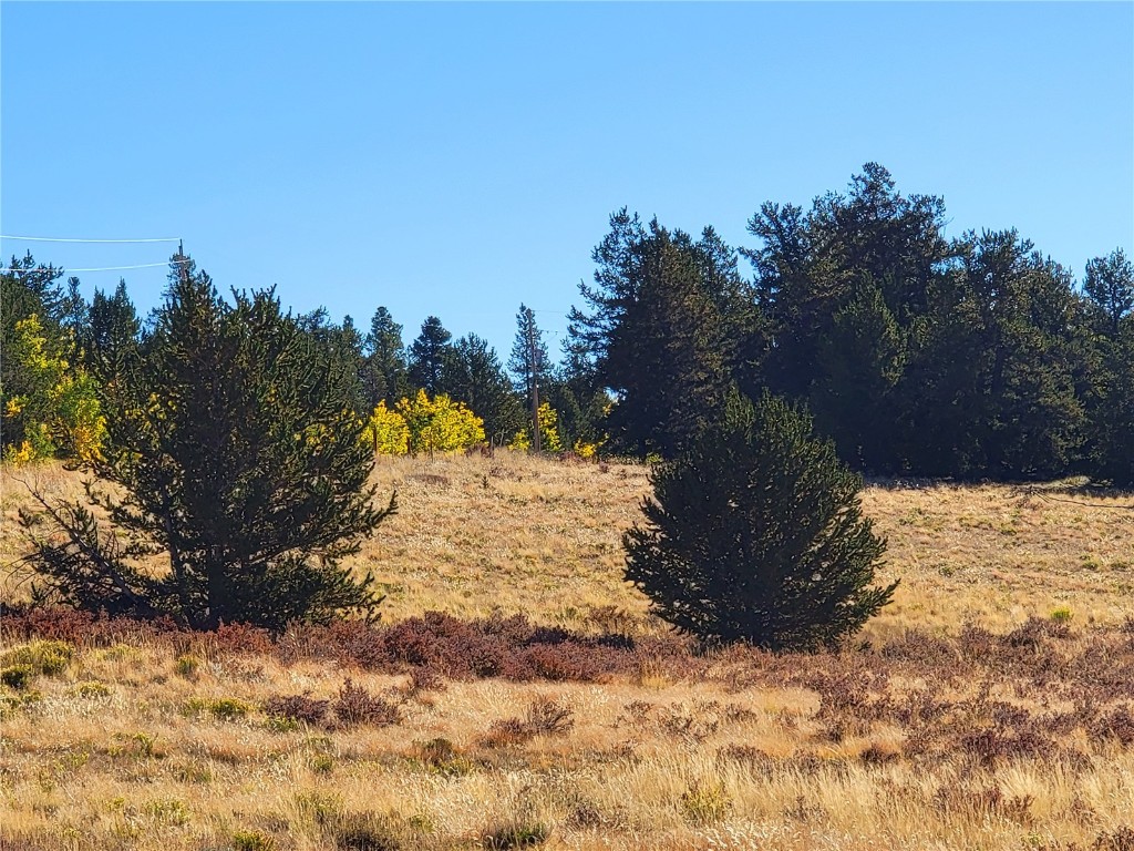 1555 Bluestem Way Property Photo 21
