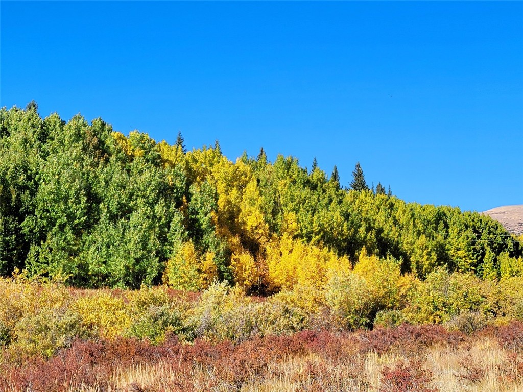 1555 Bluestem Way Property Photo 22