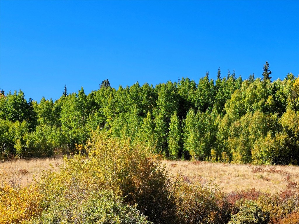 1555 Bluestem Way Property Photo 23