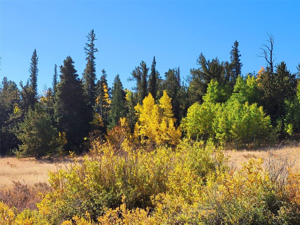 1555 Bluestem Way Property Photo 24
