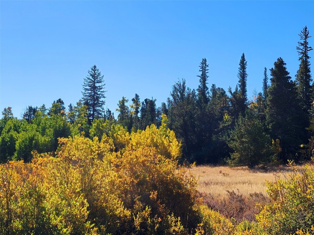 1555 Bluestem Way Property Photo 25
