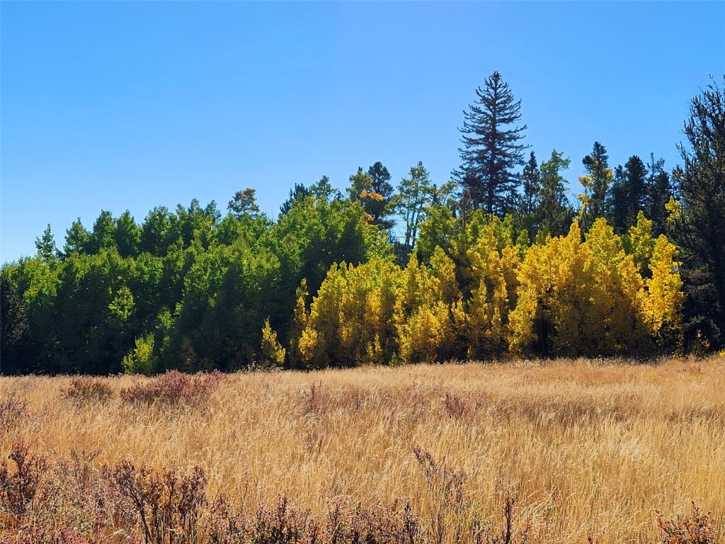 1555 Bluestem Way Property Photo 26