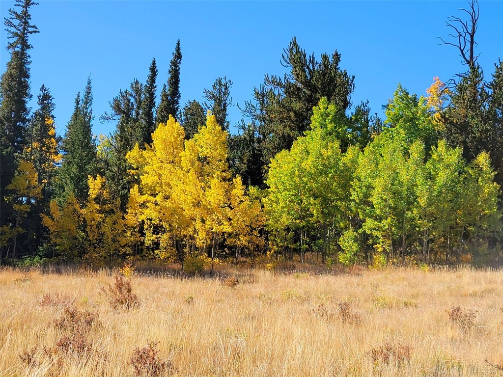 1555 Bluestem Way Property Photo 27