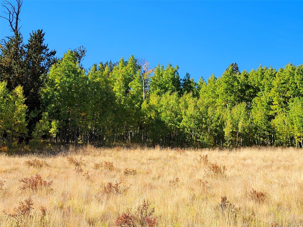 1555 Bluestem Way Property Photo 28