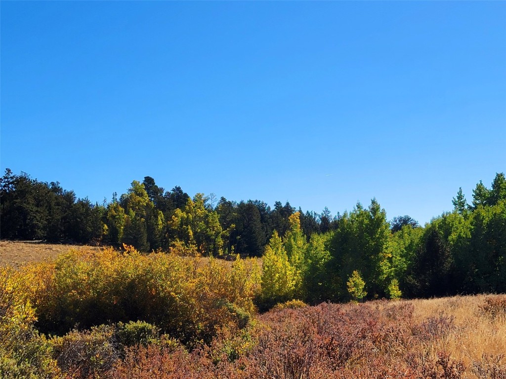 1555 Bluestem Way Property Photo 29