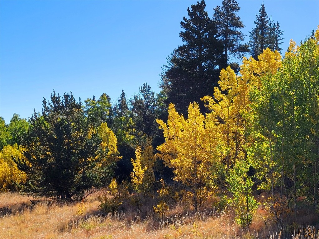 1555 Bluestem Way Property Photo 30
