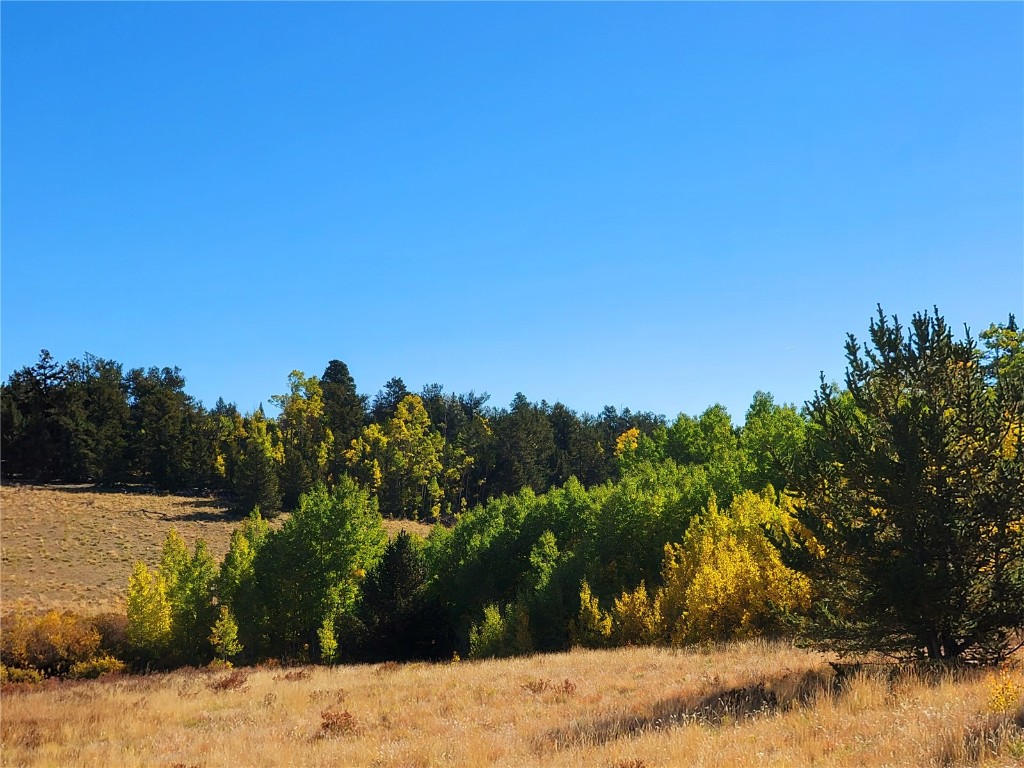 1555 Bluestem Way Property Photo 31