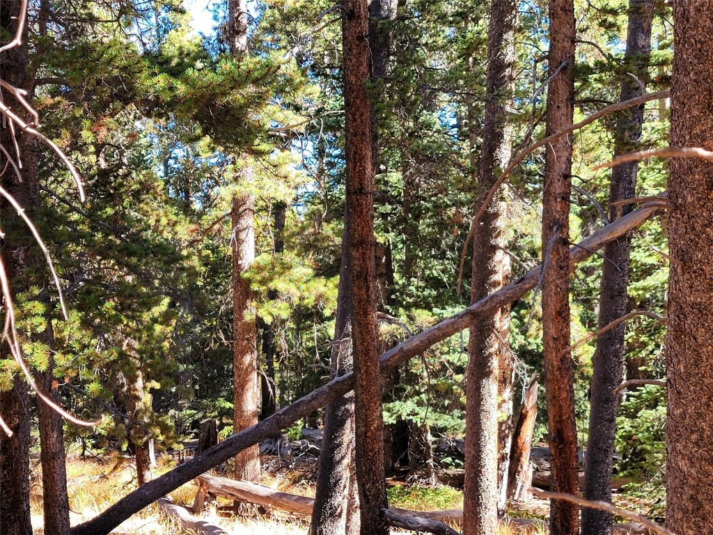 1555 Bluestem Way Property Photo 32