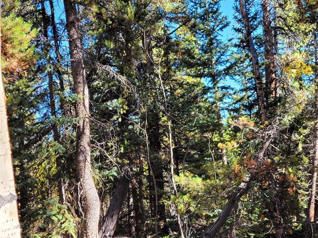 1555 Bluestem Way Property Photo 33