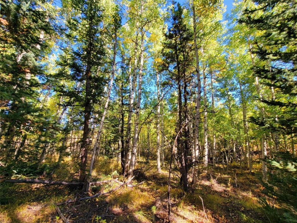 1555 Bluestem Way Property Photo 34