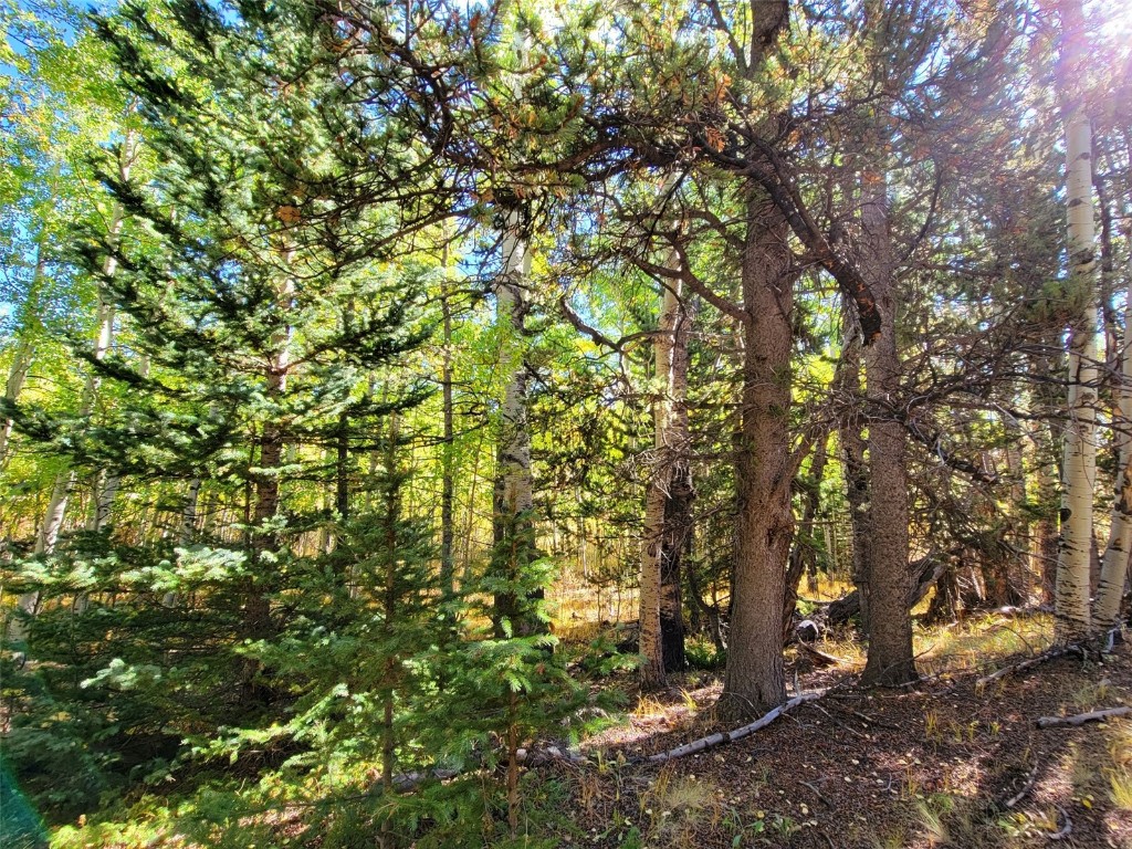 1555 Bluestem Way Property Photo 35