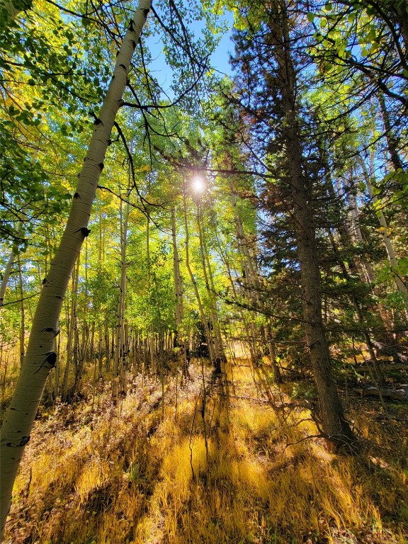 1555 Bluestem Way Property Photo 36