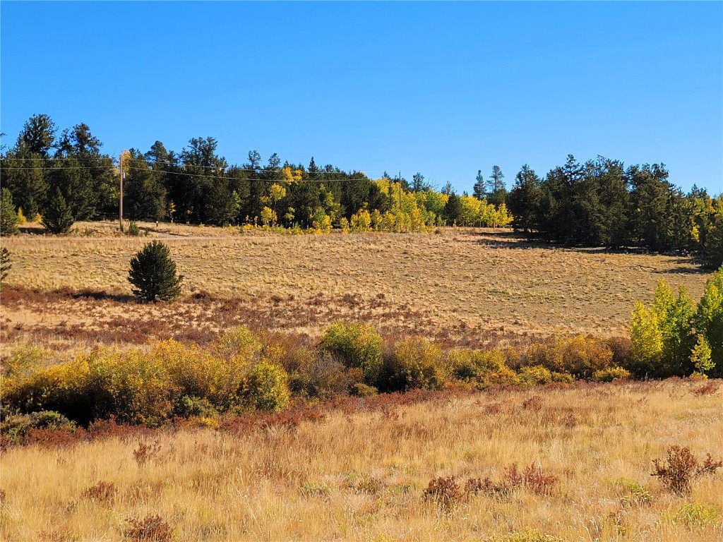 1555 Bluestem Way Property Photo 38