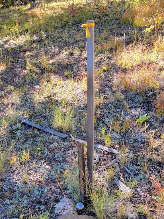 1555 Bluestem Way Property Photo 39