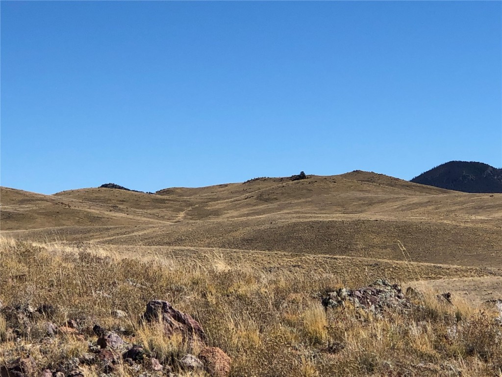 3036 Jumano Trail Property Photo 8