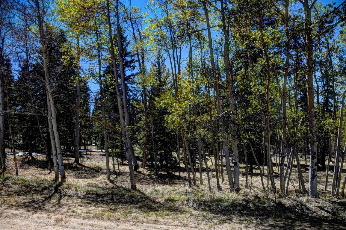 0 Kiowa Street Property Photo 2