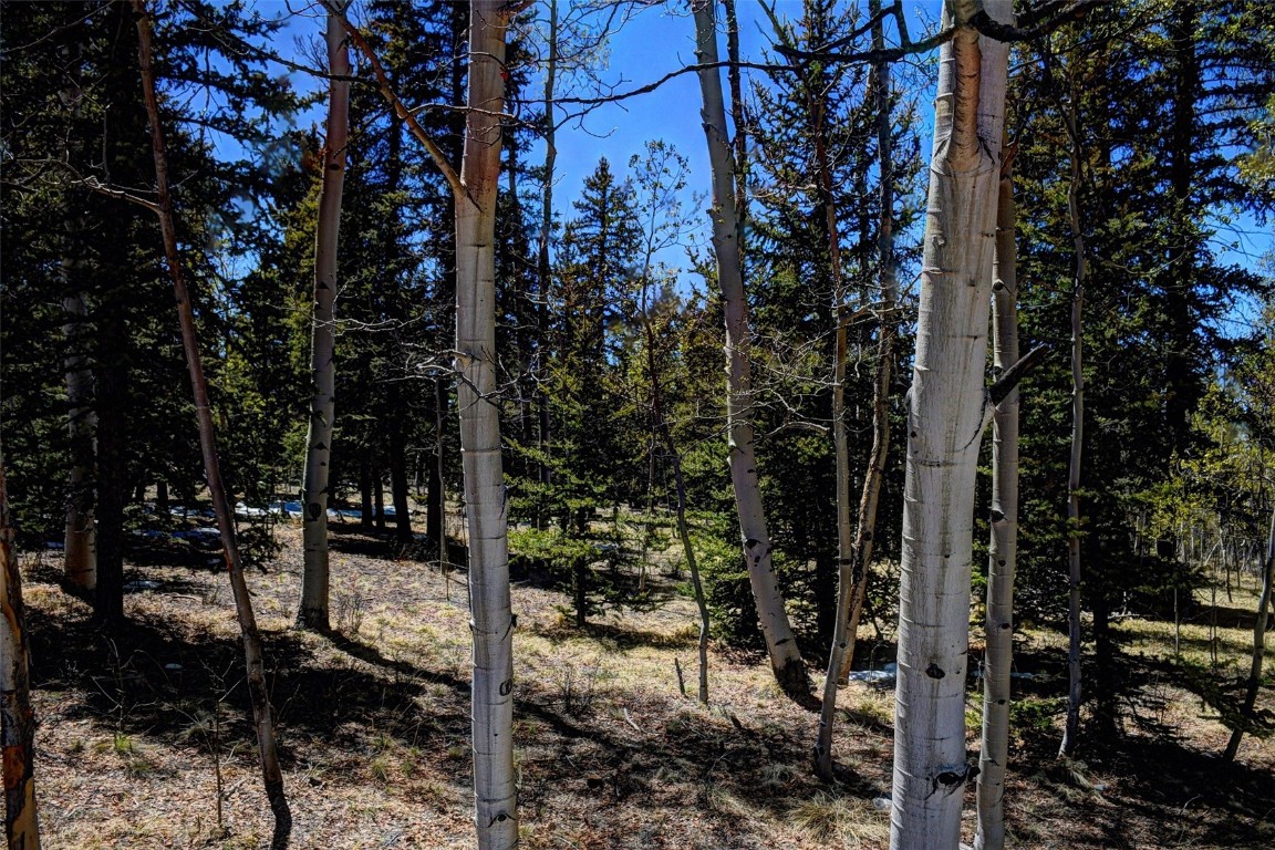 0 Kiowa Street Property Photo 4