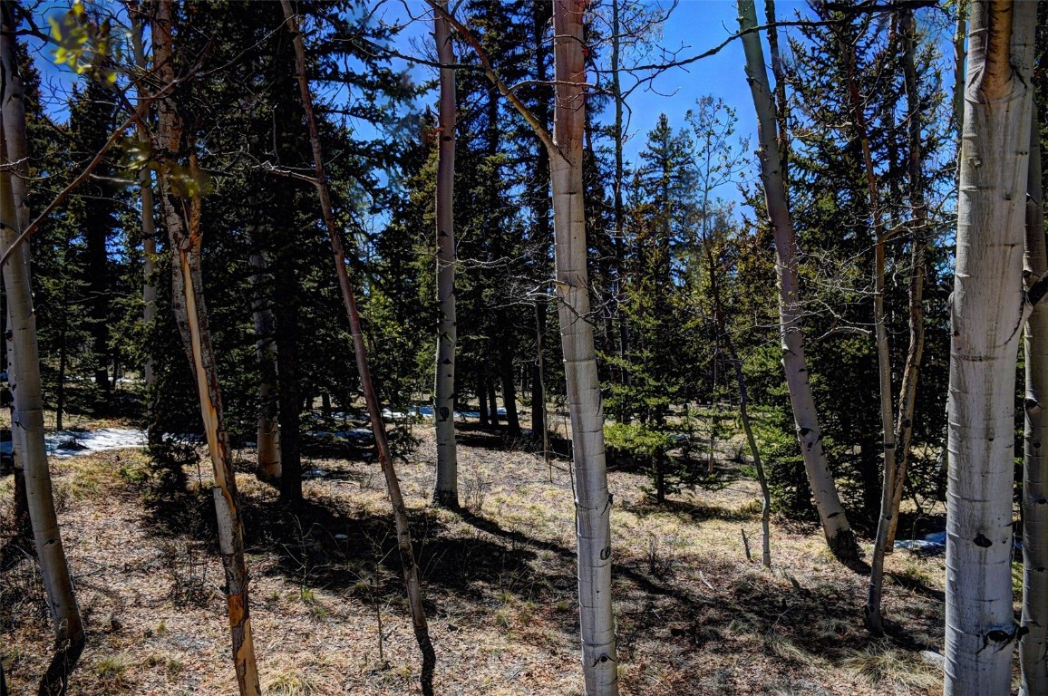 0 Kiowa Street Property Photo 5