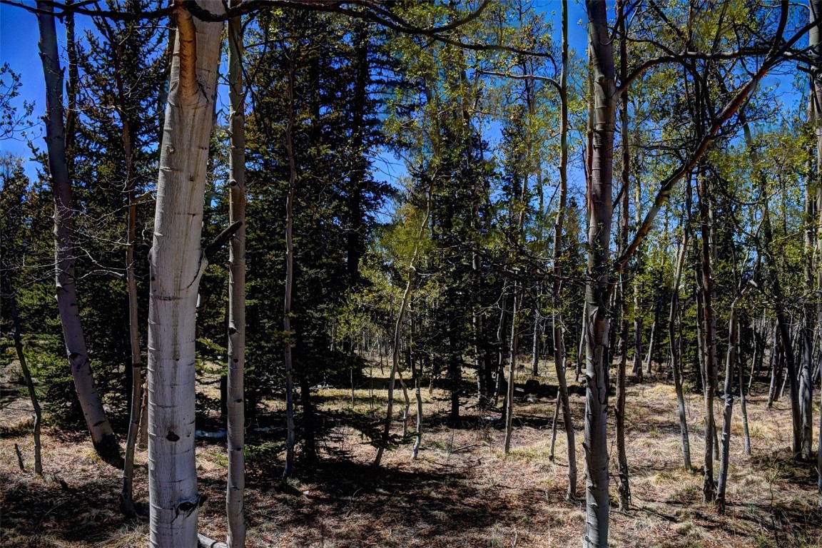 0 Kiowa Street Property Photo 6