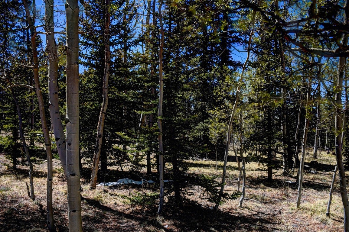 0 Kiowa Street Property Photo 8