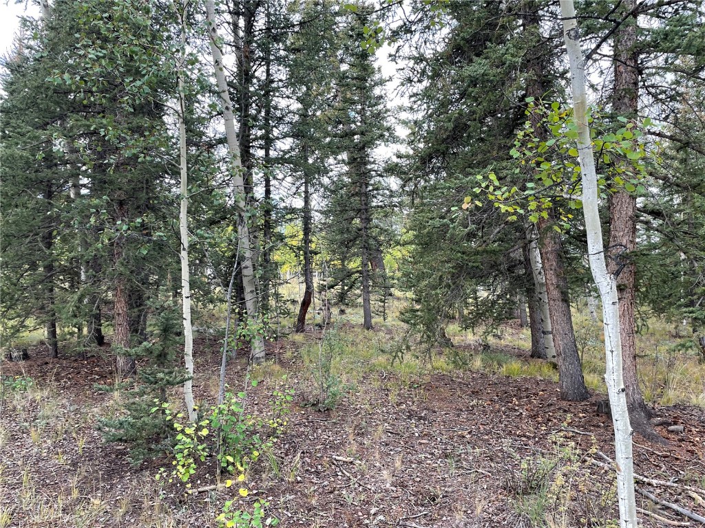 0 Kiowa Street Property Photo 9