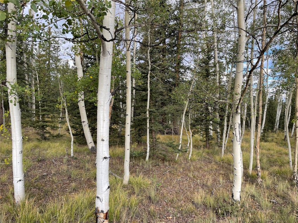 0 Kiowa Street Property Photo 10