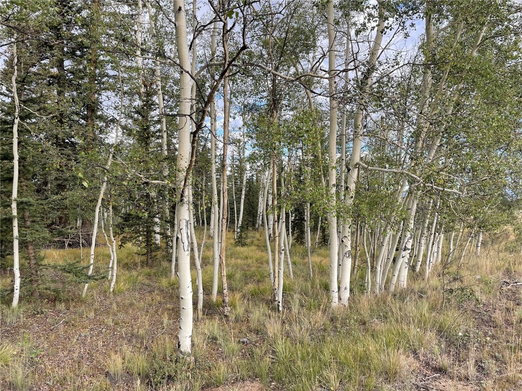 0 Kiowa Street Property Photo 12