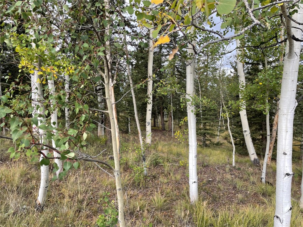 0 Kiowa Street Property Photo 13