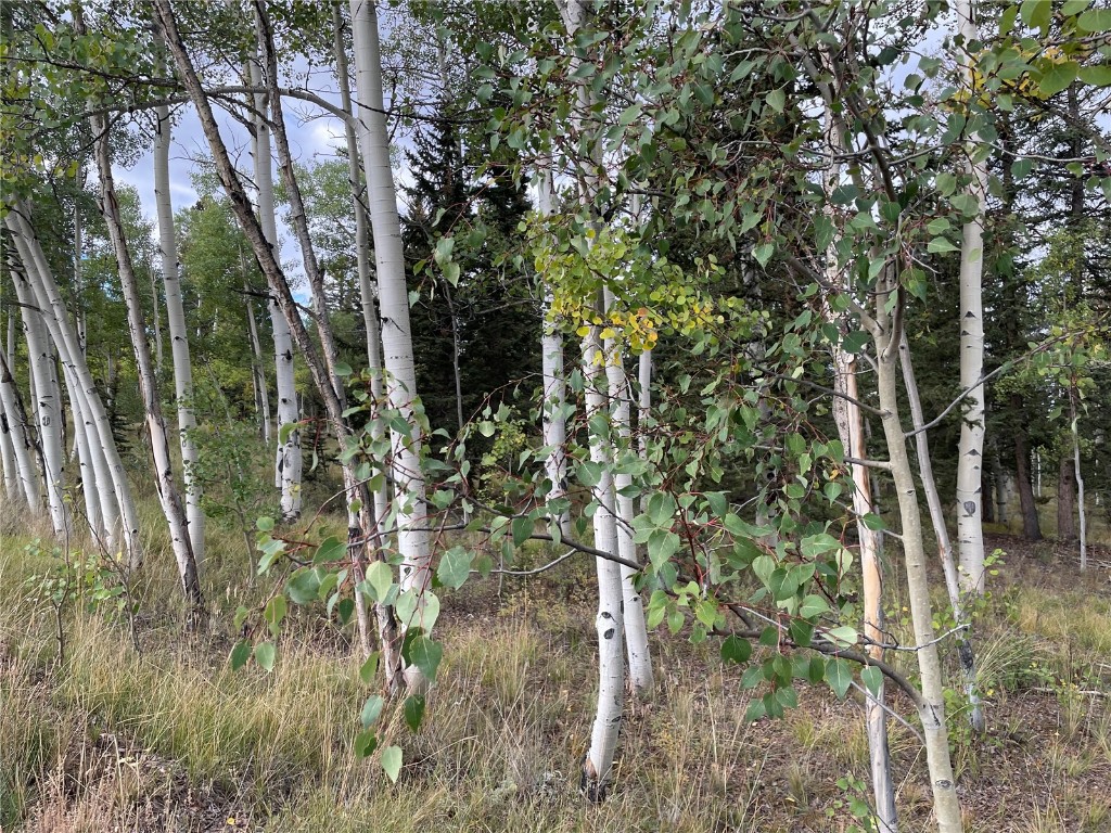 0 Kiowa Street Property Photo 14