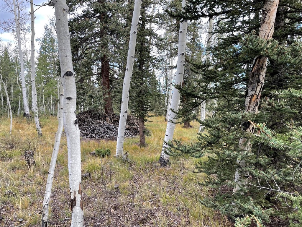 0 Kiowa Street Property Photo 16