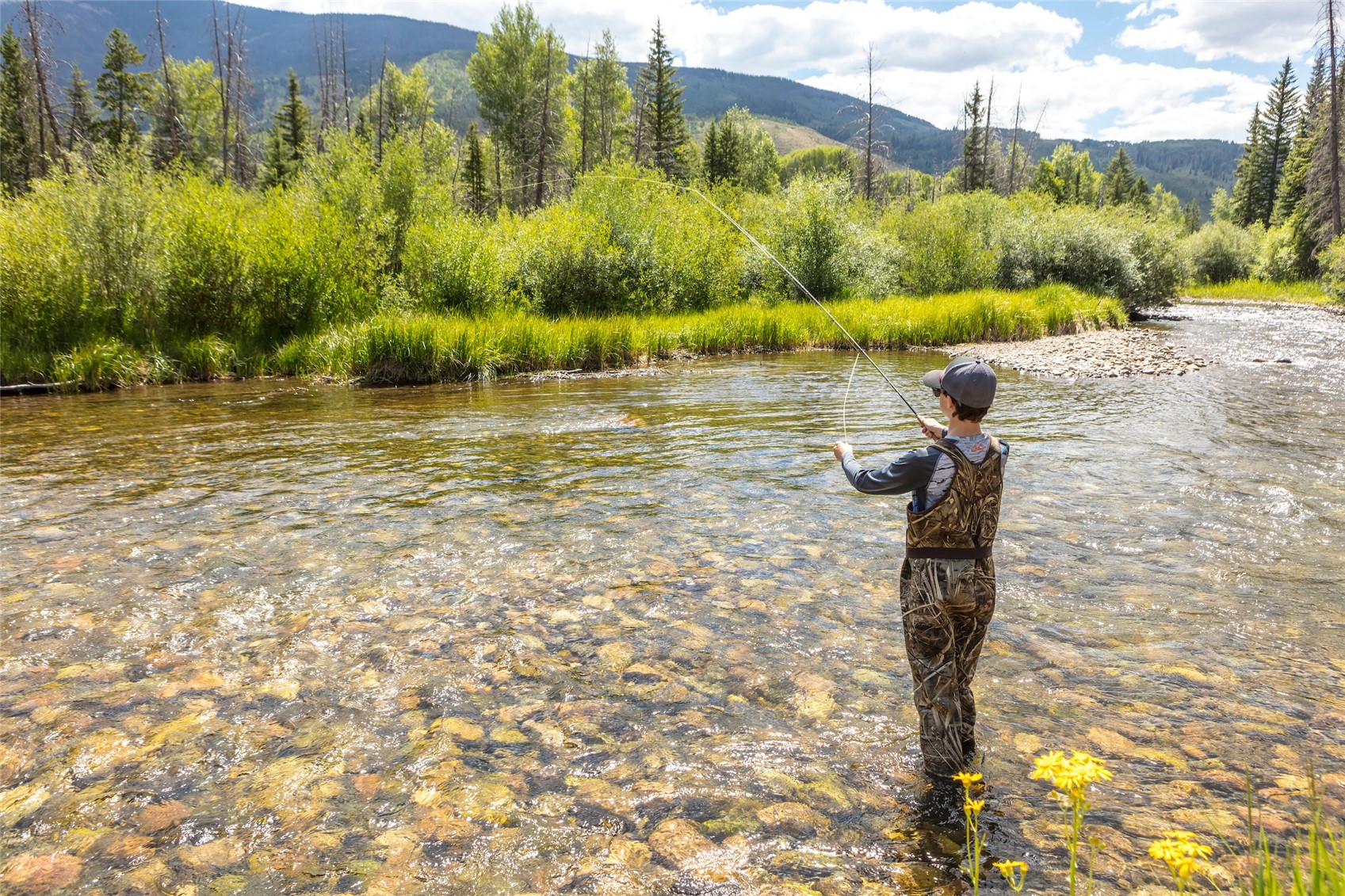 Tbd Whetstone Drive 6 Property Photo 30