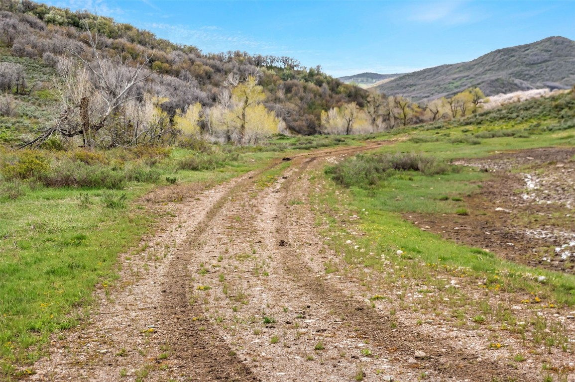 Tbd County Road 80 Property Photo 6