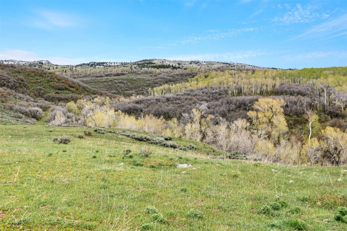 Tbd County Road 80 Property Photo 7