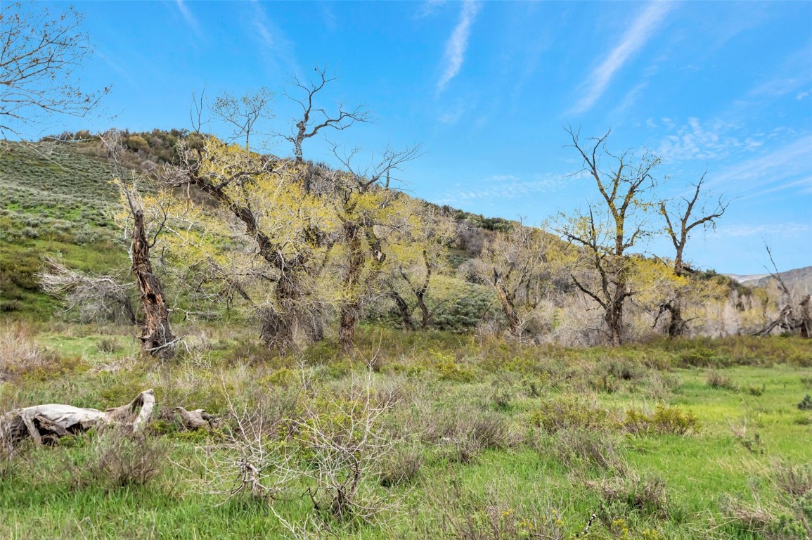 Tbd County Road 80 Property Photo 8