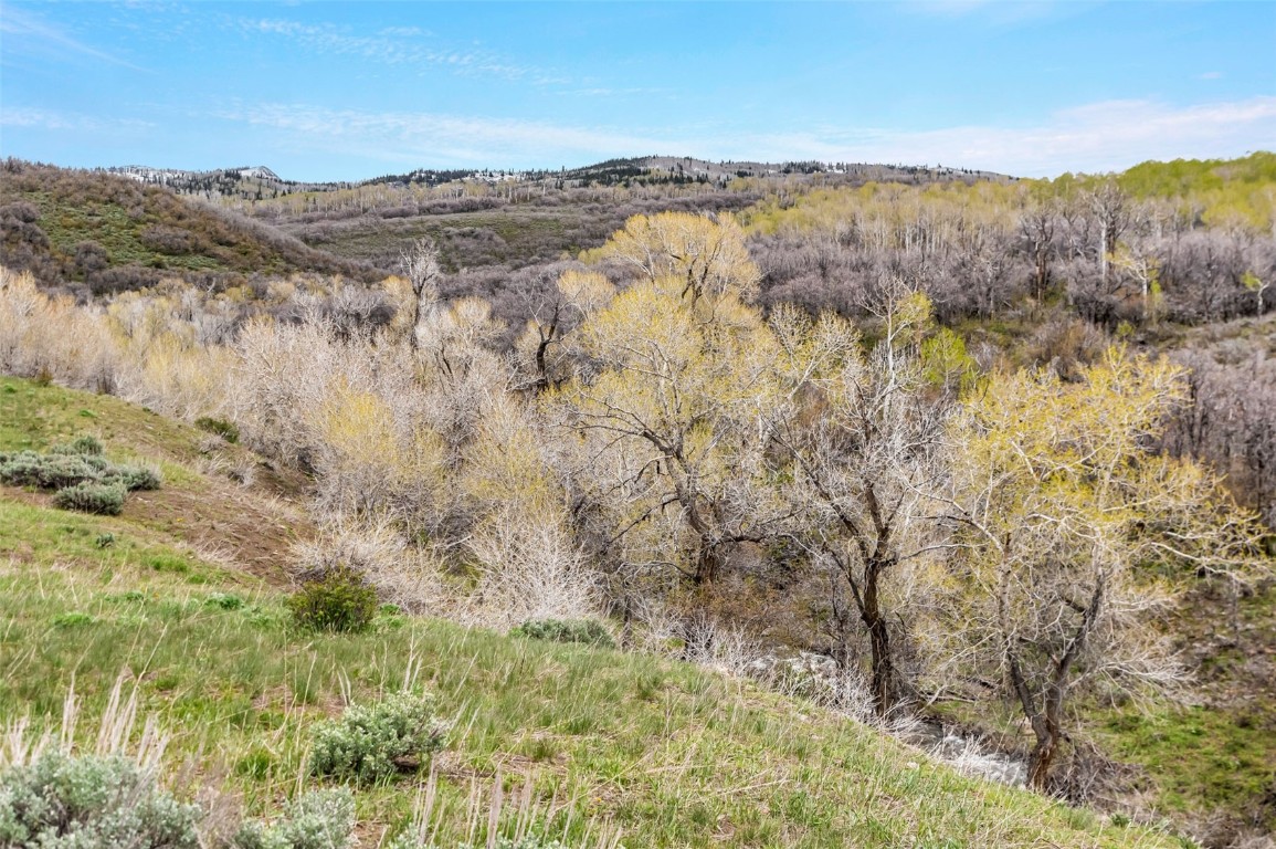 Tbd County Road 80 Property Photo 14