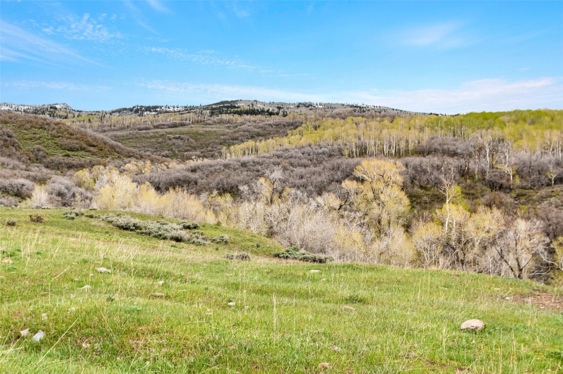 Tbd County Road 80 Property Photo 15