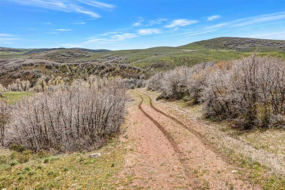 Tbd County Road 80 Property Photo 33